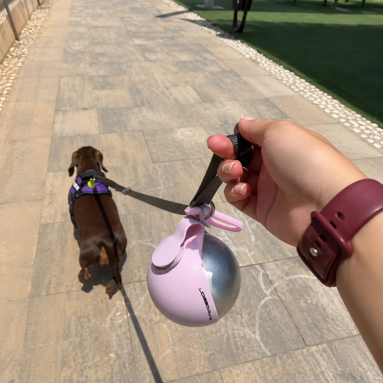 PawZie™ – Gourde Portable pour Chien